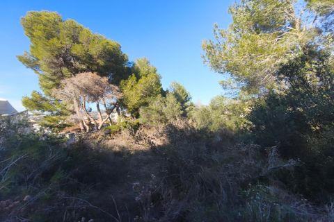 Tomt i Teulada, Alicante, Teulada - € 280 000 | Ref: P212 - foto 2