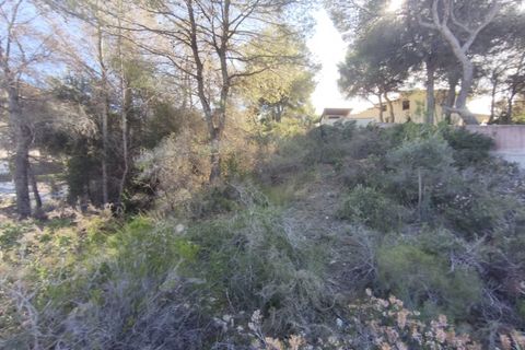 Tomt i Teulada, Alicante, Teulada - € 280 000 | Ref: P212 - foto 6