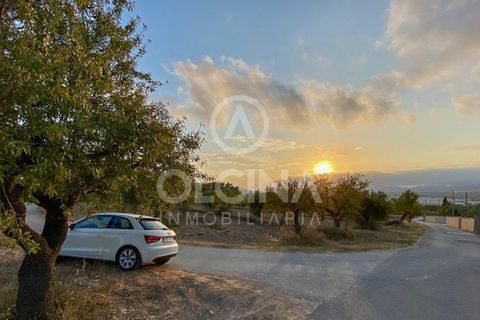Terra a Ibi, Alicante, Ibi - € 96.000 | Ref: 220/6818 - foto 2