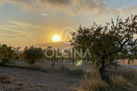 Terra a Ibi, Alicante, Ibi - € 96.000 | Ref: 220/6818 - foto 3