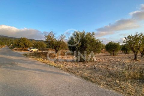 Terra a Ibi, Alicante, Ibi - € 96.000 | Ref: 220/6818 - foto 4