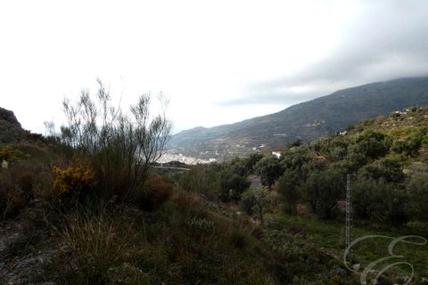 Landejendom i Lanjaron, Granada, Lanjaron - € 690.000 | Ref: XL4640 - foto 27