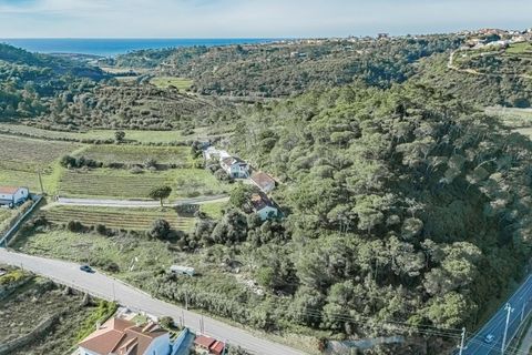 Helårsgrund i Mafra, Lisbon, Mafra - € 700.000 | Ref: V24053 - foto 4