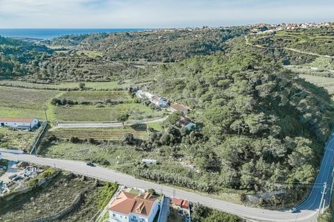 Helårsgrund i Mafra, Lisbon, Mafra - € 700.000 | Ref: V24053 - foto 10