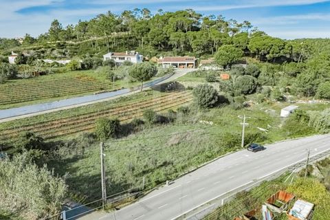 Helårsgrund i Mafra, Lisbon, Mafra - € 700.000 | Ref: V24053 - foto 11