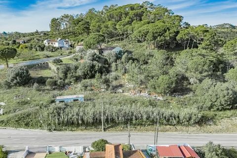 Helårsgrund i Mafra, Lisbon, Mafra - € 700.000 | Ref: V24053 - foto 12