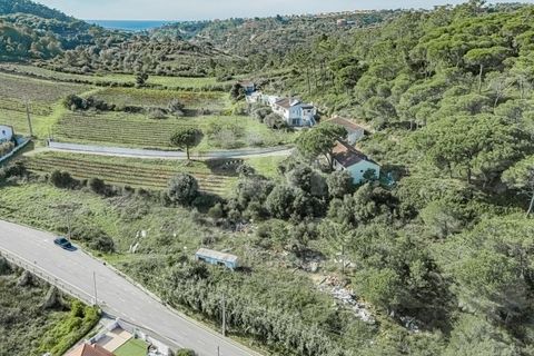 Helårsgrund i Mafra, Lisbon, Mafra - € 700.000 | Ref: V24053 - foto 14