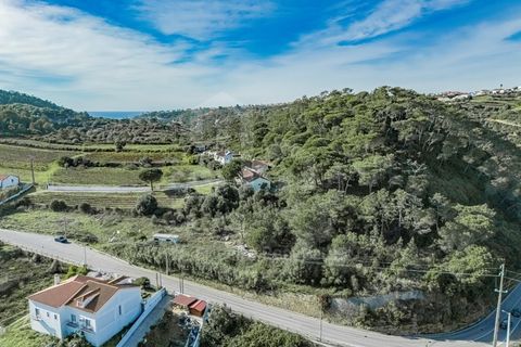 Helårsgrund i Mafra, Lisbon, Mafra - € 700.000 | Ref: V24053 - foto 16