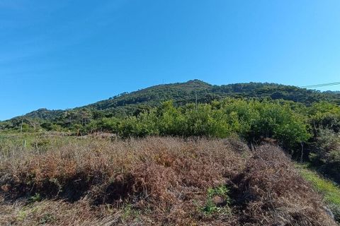 Helårsgrund i Caminha, Viana do Castelo, Caminha - € 50.000 | Ref: 713132 - foto 6