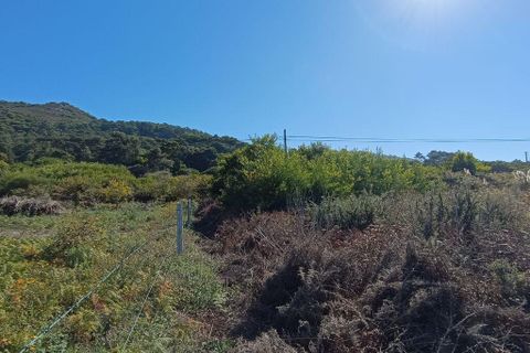 Helårsgrund i Caminha, Viana do Castelo, Caminha - € 50.000 | Ref: 713132 - foto 7