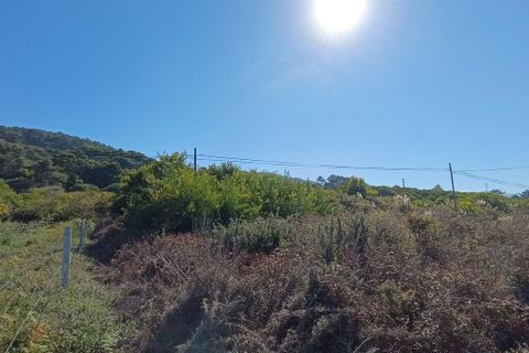 Helårsgrund i Caminha, Viana do Castelo, Caminha - € 50.000 | Ref: 713132 - foto 8