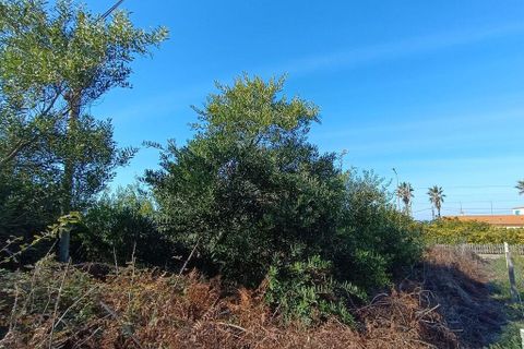 Helårsgrund i Caminha, Viana do Castelo, Caminha - € 50.000 | Ref: 713132 - foto 9