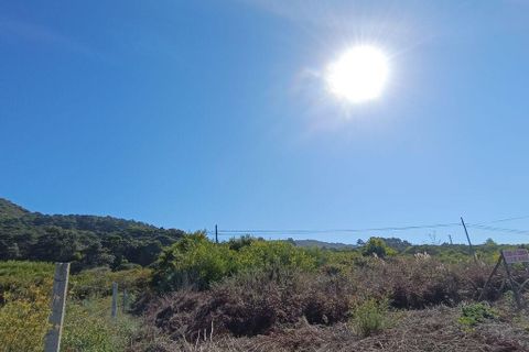 Helårsgrund i Caminha, Viana do Castelo, Caminha - € 50.000 | Ref: 713132 - foto 10