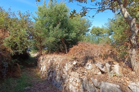 Helårsgrund i Caminha, Viana do Castelo, Caminha - € 50.000 | Ref: 713132 - foto 12