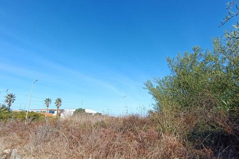 Helårsgrund i Caminha, Viana do Castelo, Caminha - € 50.000 | Ref: 713132 - foto 13