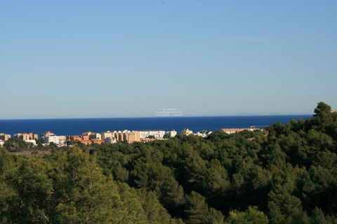 Finca i Javea, Alicante, Javea - € 1 200 000 | Ref: 6013 - foto 4