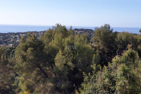 Finca i Moraira, Alicante, Moraira - € 500.000 | Ref: 6009 - foto 4