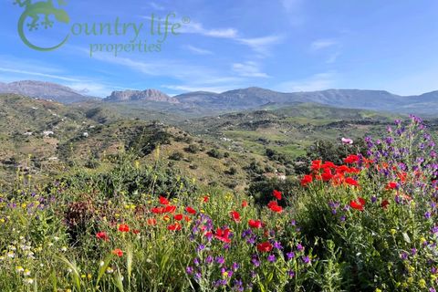 Villa i Comares, Malaga, Comares - € 369.500 | Ref: COM012 - foto 50