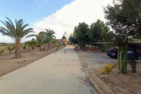 Villa i Elche, Alicante, Elche - € 465.000 | Ref: DNV0463 - foto 33