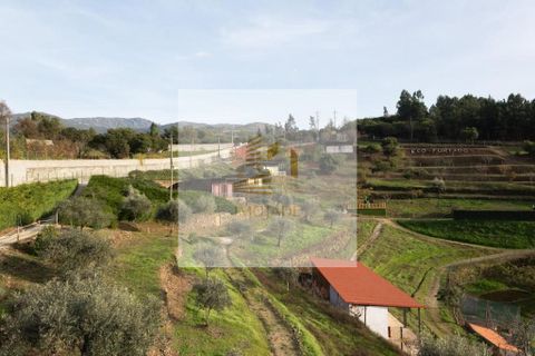 Landejendom i Seia, Guarda, Seia - € 1.100.000 | Ref: 20250702 - foto 10