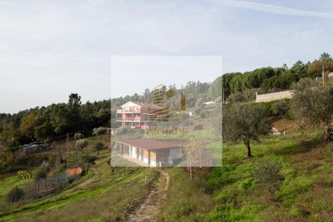 Landejendom i Seia, Guarda, Seia - € 1.100.000 | Ref: 20250702 - foto 35