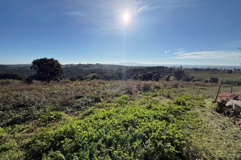 Helårsgrund i Obidos, Leiria, Obidos - € 70.000 | Ref: RVJ2951 - foto 16