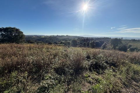 Helårsgrund i Obidos, Leiria, Obidos - € 70.000 | Ref: RVJ2951 - foto 14