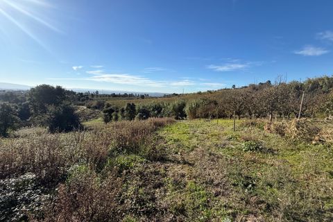 Helårsgrund i Obidos, Leiria, Obidos - € 70.000 | Ref: RVJ2951 - foto 12