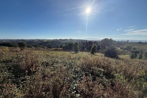 Helårsgrund i Obidos, Leiria, Obidos - € 70.000 | Ref: RVJ2951 - foto 11