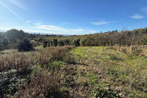 Helårsgrund i Obidos, Leiria, Obidos - € 70.000 | Ref: RVJ2951 - foto 5