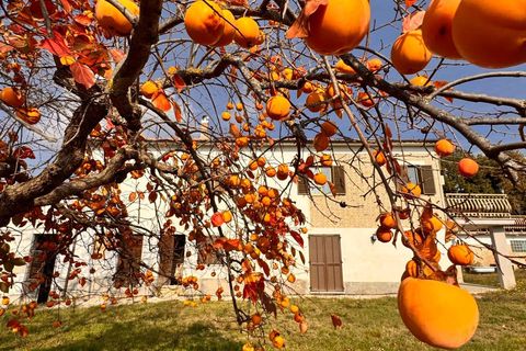 Villa a Montegiorgio, Fermo, Montegiorgio - € 180.000 | Ref: MG2416 - foto 8