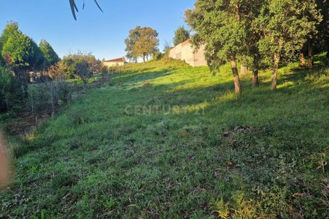Helårsgrund i Espinho, Aveiro, Espinho - € 65.000 | Ref: C0496-00168 - foto 2