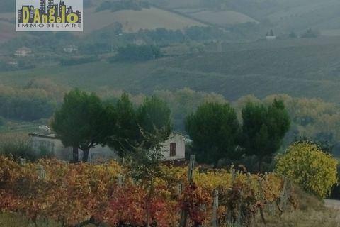 Landejendom i Castignano, Ascoli Piceno, Castignano - € 105.000 | Ref: 136 - foto 2