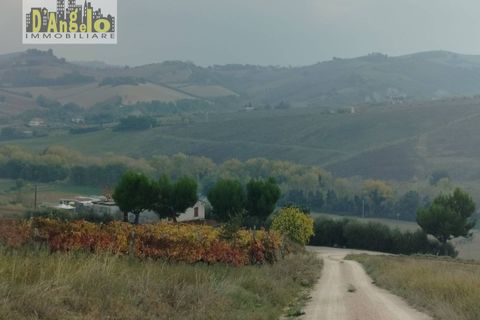 Landejendom i Castignano, Ascoli Piceno, Castignano - € 105.000 | Ref: 136 - foto 3