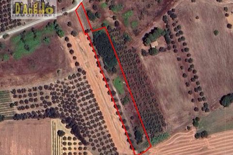 Farm i Corropoli, Teramo, Corropoli - € 50.000 | Ref: 137 - foto 2