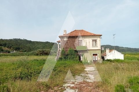 Villa a Maiorga, Leiria, Maiorga - € 160.000 | Ref: 1130608/22 LR - foto 11