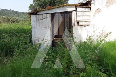 Villa a Maiorga, Leiria, Maiorga - € 160.000 | Ref: 1130608/22 LR - foto 17