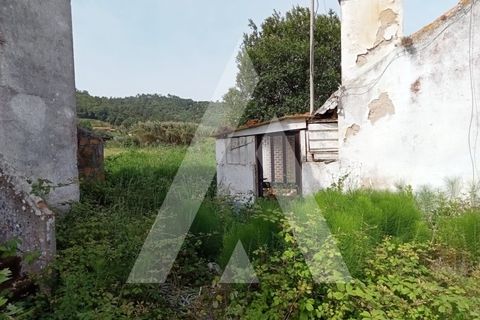 Villa a Maiorga, Leiria, Maiorga - € 160.000 | Ref: 1130608/22 LR - foto 19