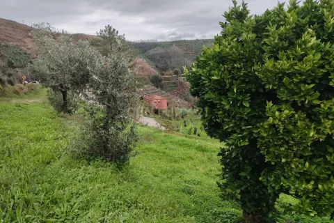 Villa a Sever do Vouga, Aveiro, Sever do Vouga - € 149.000 | Ref: C0385-00940 - foto 2