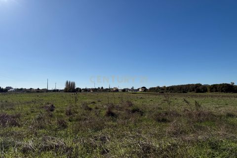 Helårsgrund i Ilhavo, Aveiro, Ilhavo - € 69.900 | Ref: C0385-00941 - foto 3