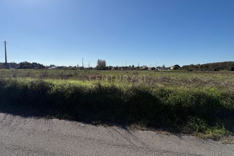 Helårsgrund i Ilhavo, Aveiro, Ilhavo - € 69.900 | Ref: C0385-00941 - foto 4