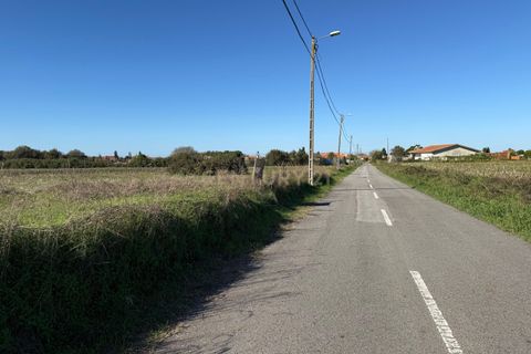 Helårsgrund i Ilhavo, Aveiro, Ilhavo - € 69.900 | Ref: C0385-00941 - foto 5