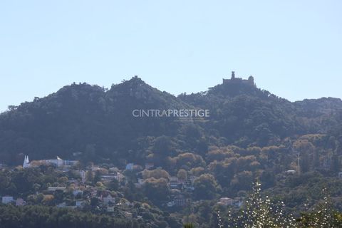 Villa i Sintra, Lisbon, Sintra - € 1.430.000 | Ref: CP-1045M - foto 37