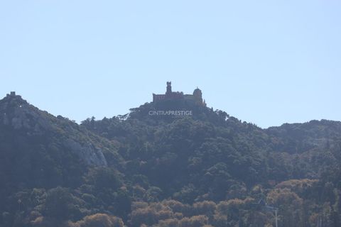 Villa i Sintra, Lisbon, Sintra - € 1.430.000 | Ref: CP-1045M - foto 38