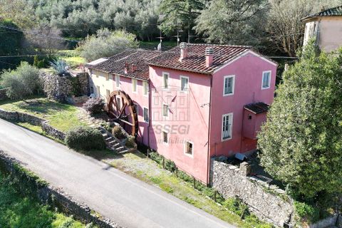 Stadthaus in Lucca, Lucca, Lucca - € 270.000 | Ref: IA04148 - Foto 1