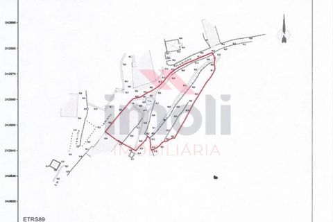 Villa a Azere, Viana do Castelo, Azere - € 75.000 | Ref: AVV-2493-MM-1125 - foto 2