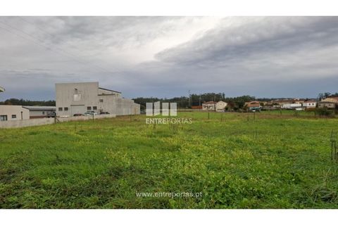 Helårsgrund i Vila do Conde, Porto, Vila do Conde - € 800.000 | Ref: PV11024 - foto 2