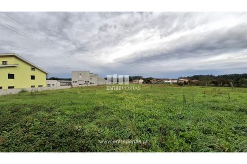 Helårsgrund i Vila do Conde, Porto, Vila do Conde - € 800.000 | Ref: PV11024 - foto 3