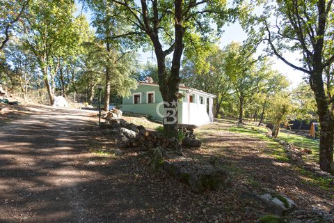 Villa a Vejano, Viterbo, Vejano - € 218.000 | Ref: CBI006-7-333021 - foto 47