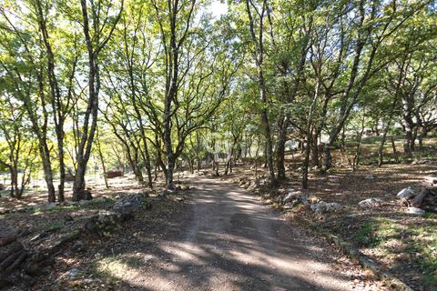Villa a Vejano, Viterbo, Vejano - € 218.000 | Ref: CBI006-7-333021 - foto 48